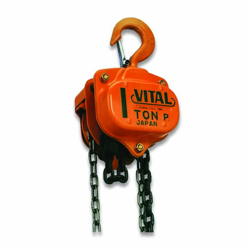 Chain Hoist (Four Moves) - Deltaco